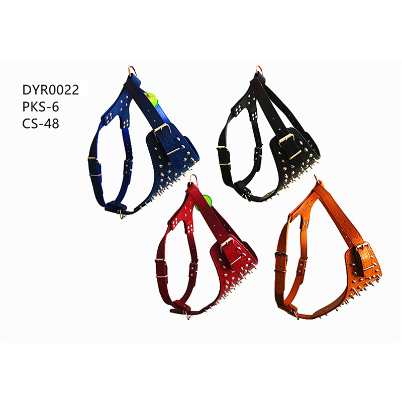 DYR0022